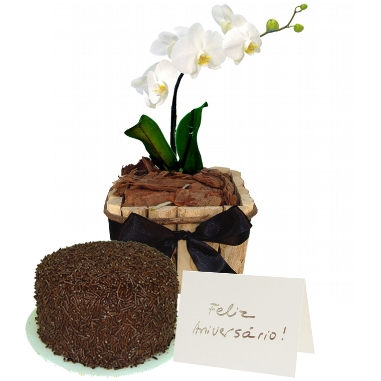Kit Parabéns com Orquídeas