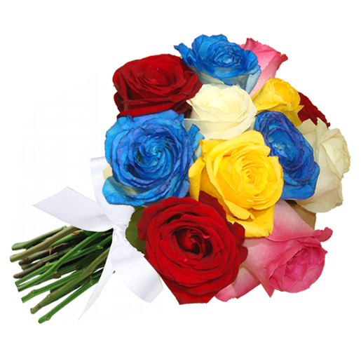 Buqu com 12 Rosas Coloridas