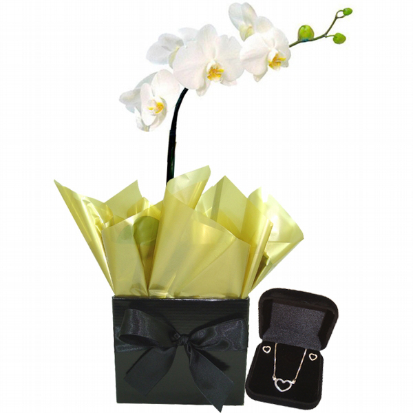 Orqudea Luxuosa com Joia de Prata