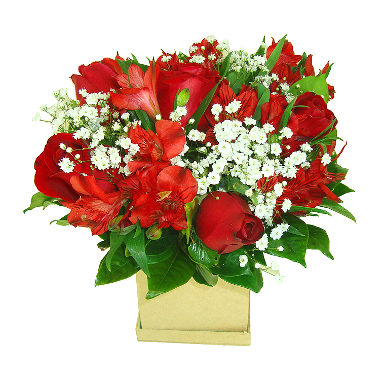 Arranjo Vermelho