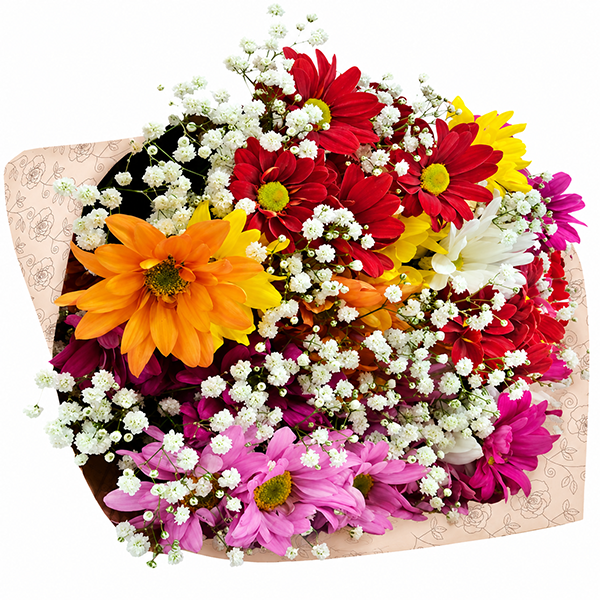 Buqu� Margaridas Mix