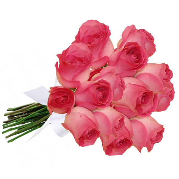 Buqu 18 Rosas em Tons Rosados