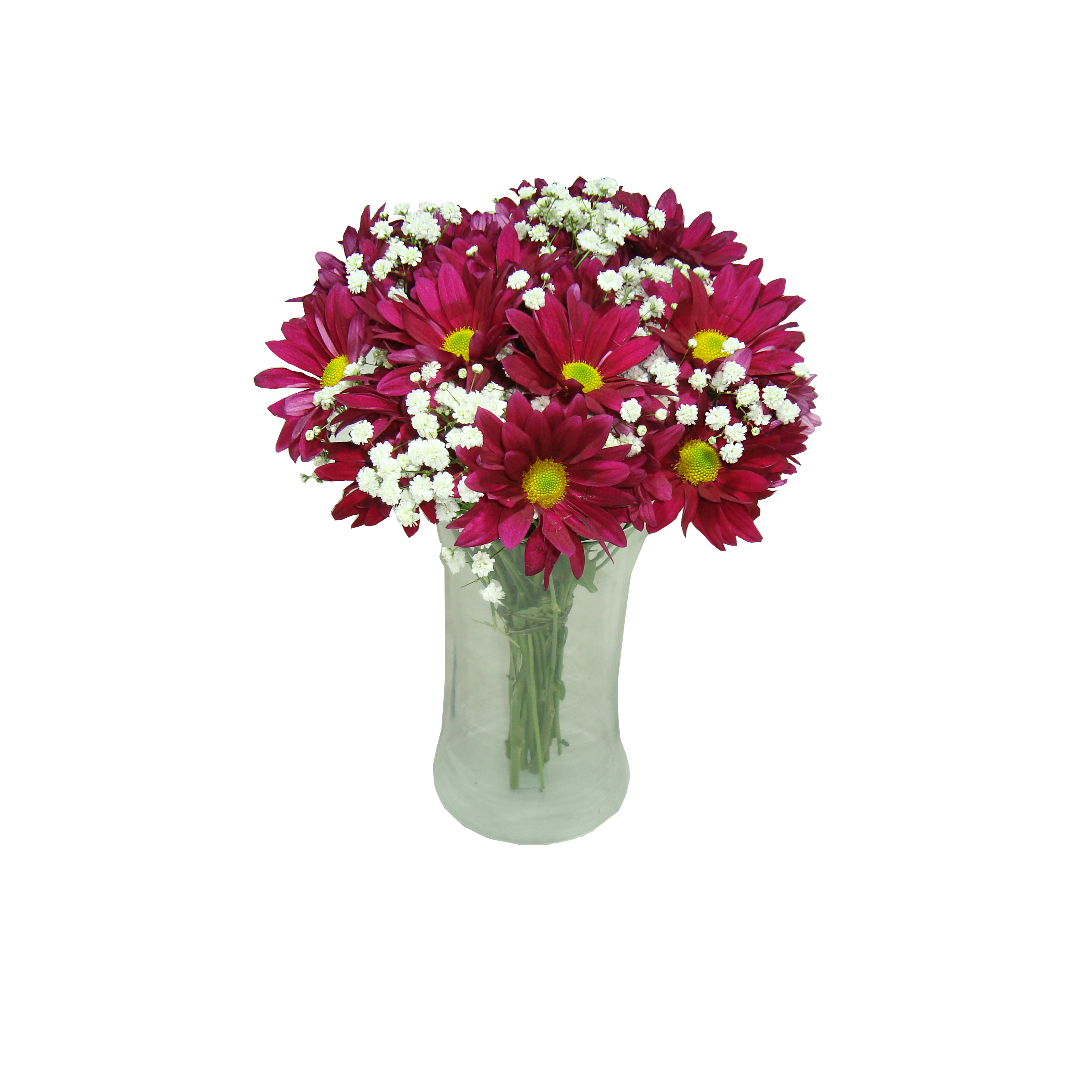 Vaso de Grberas Rosas