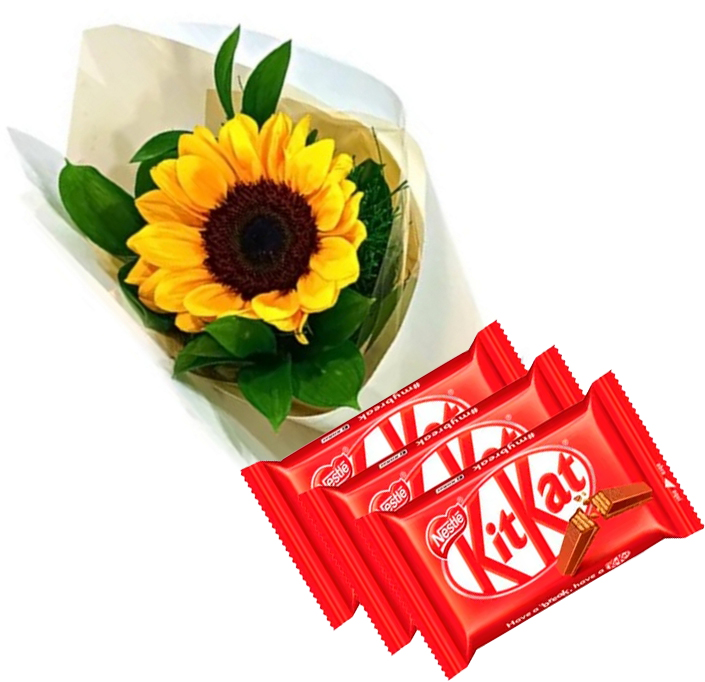 Girassol e Kit Kat