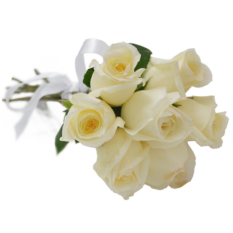 Buqu com 7 Rosas Brancas
