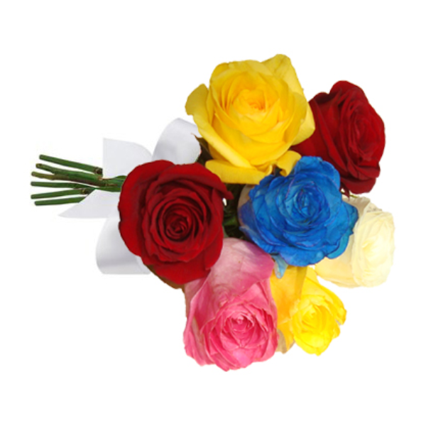 Buquê com 7 Rosas Coloridas