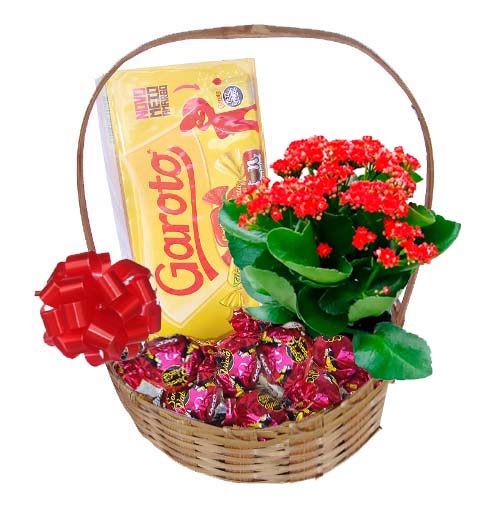 Cesta Presente Com Carinho