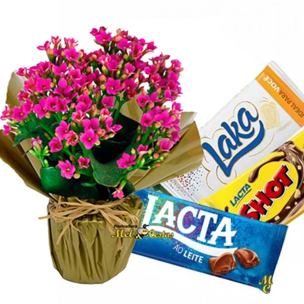 Kit Choclatra