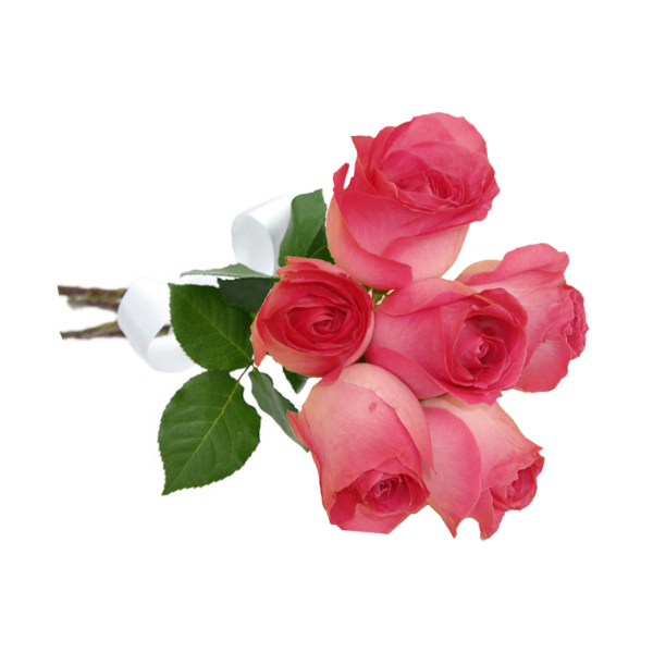 Buquê com 6 Rosas Rosadas