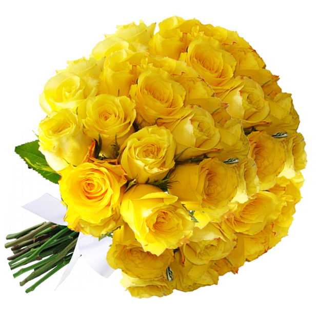 Buquê com 36 Rosas Amarela