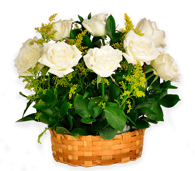 Vaso de Rosas Brancas