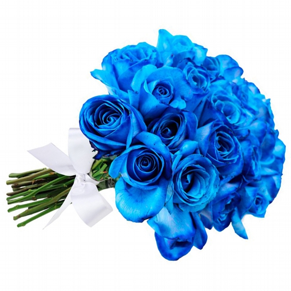 Buqu com 24 Rosas Azul