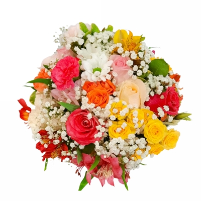 Buqu Primavera