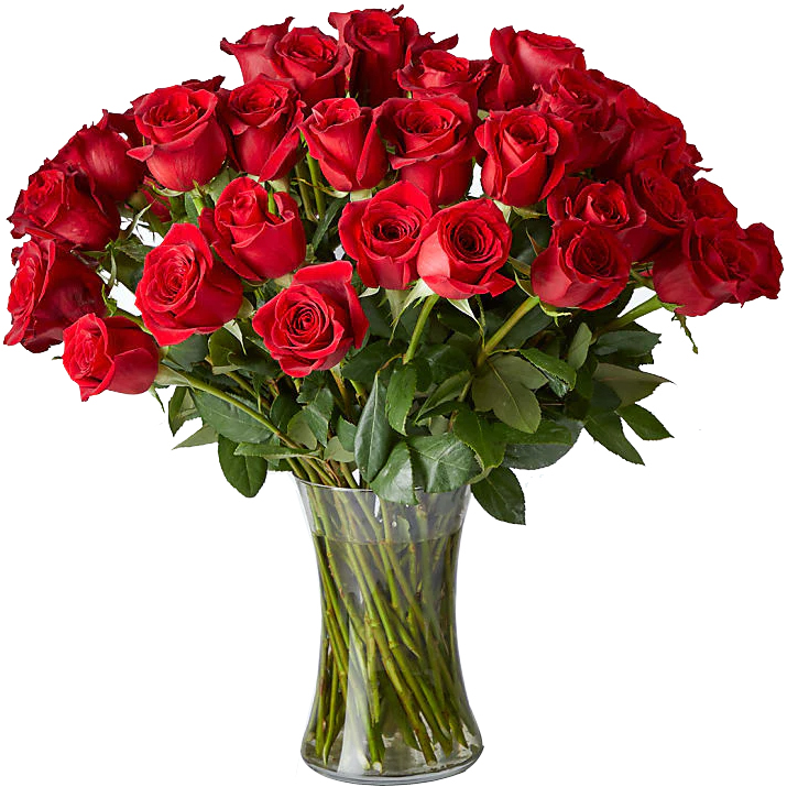 36 Rosas Vermelhas no Vaso de Vidro