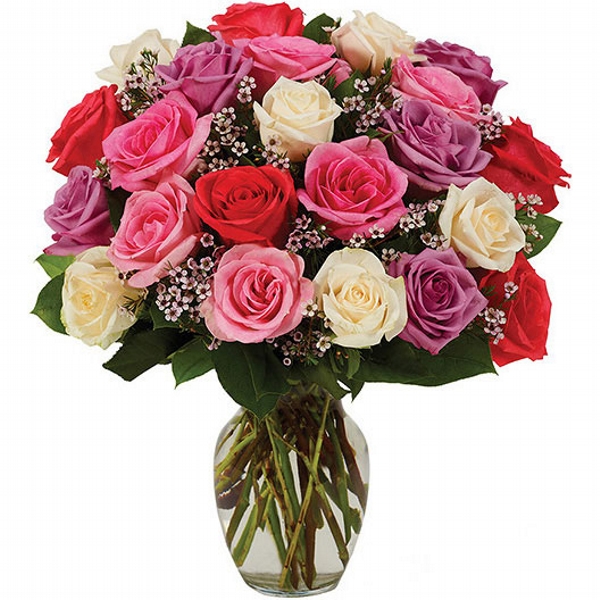 Amor e Romance Premium