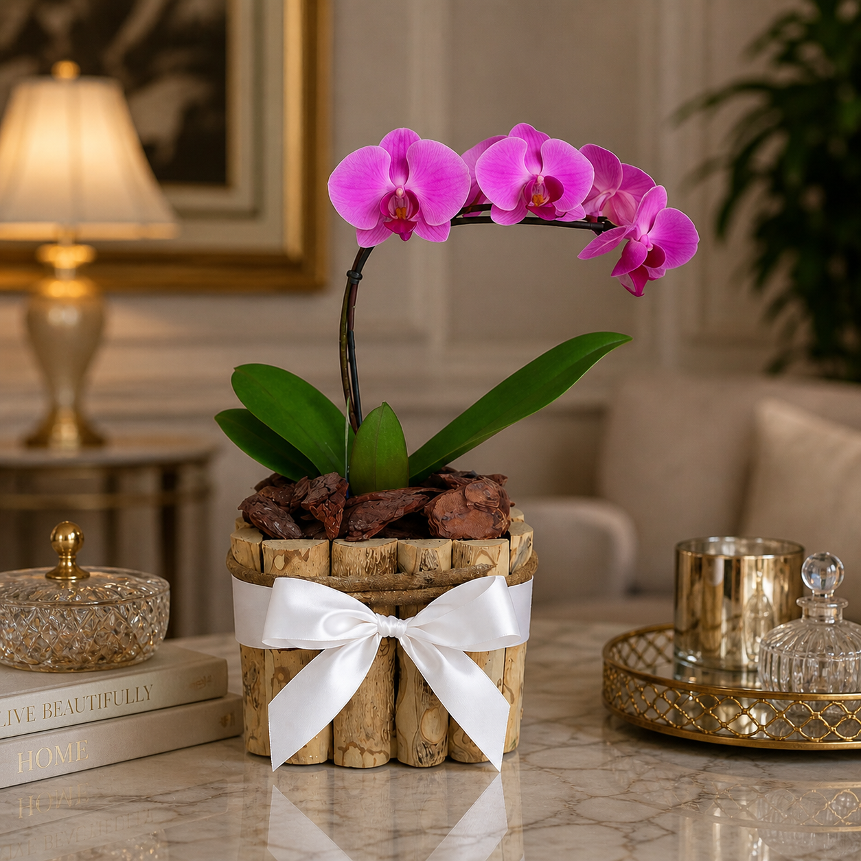 Orqu�dea Phalaenopsis Lil�s