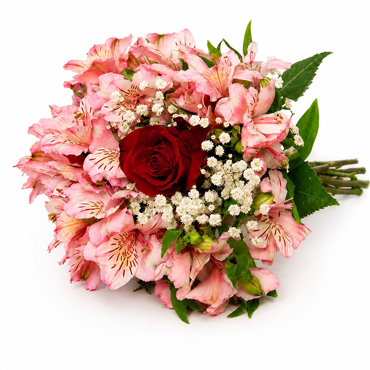 Rosa com Astrom�lias