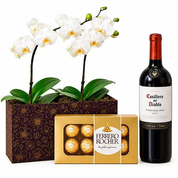 Orqu�dea Premium com Ferrero e Vinho