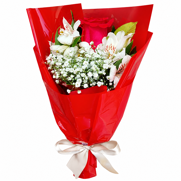 Rosa Singular Paix�o