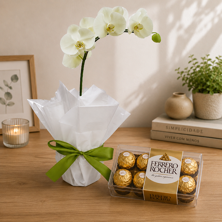 Orqu�dea Phalaenopsis Branca e Chocolates