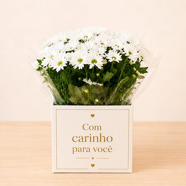 Margaridinha Plantada 