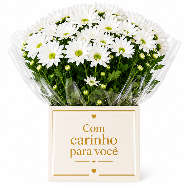 Margaridinha Plantada 