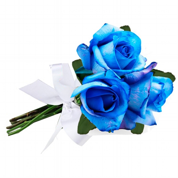 Arranjo de Rosas Azul