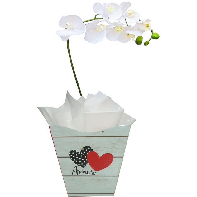 Orqudea Amo Voc