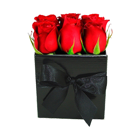 Box Red Deluxe