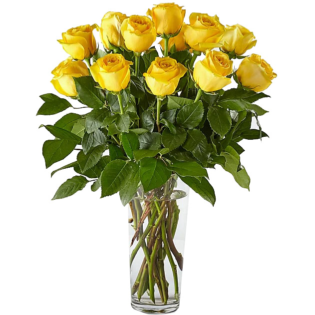 Rosas Amarelas no Vaso